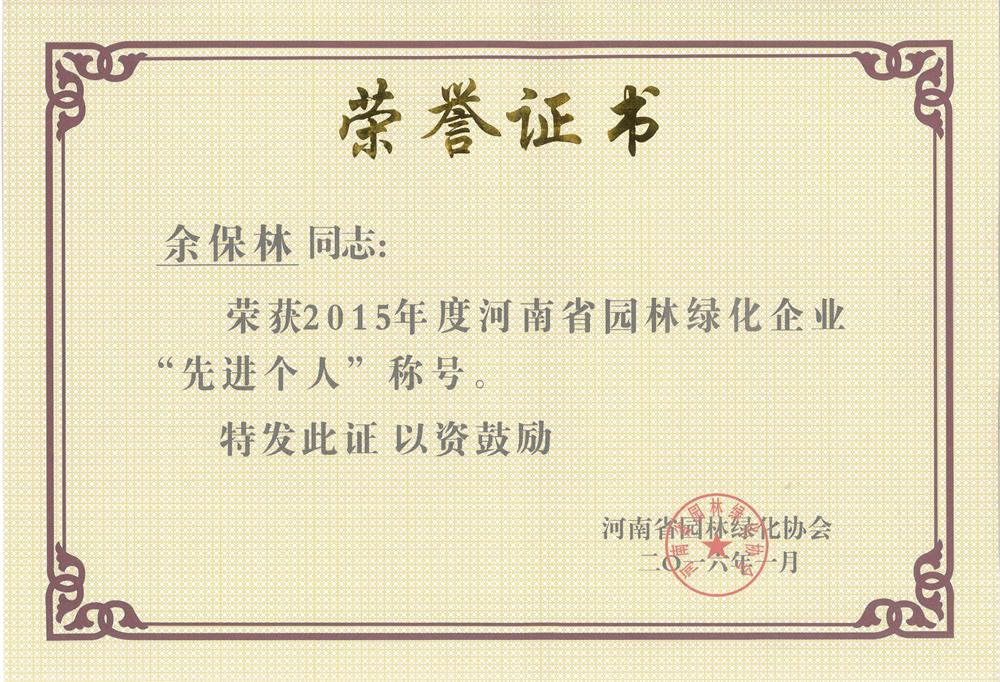 河南省2015年年度先进个人