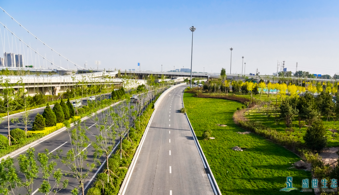 山西省太原市汾东新区——通达桥改造工程配套绿化项目